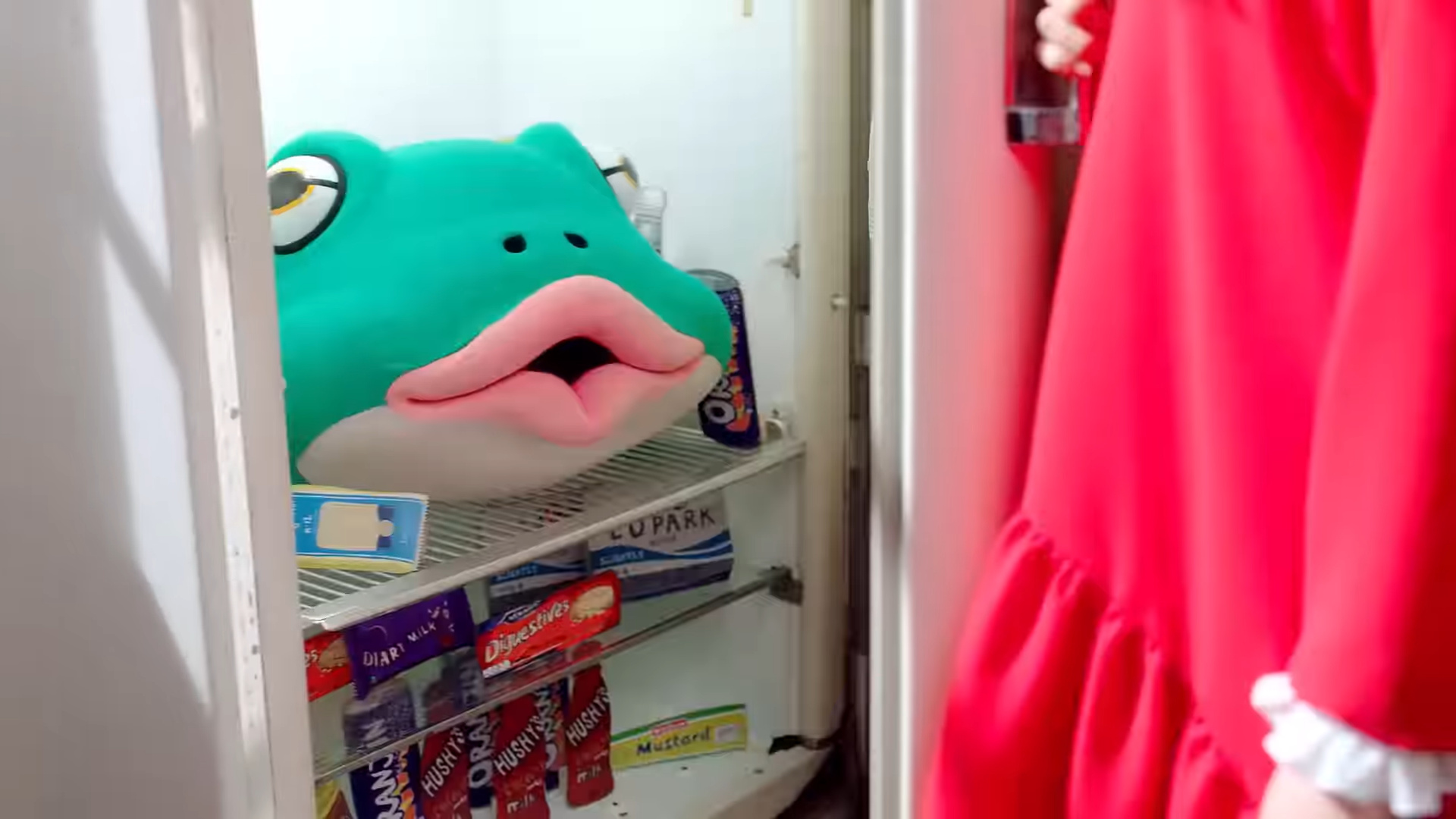 The frog's head inside the fridge.